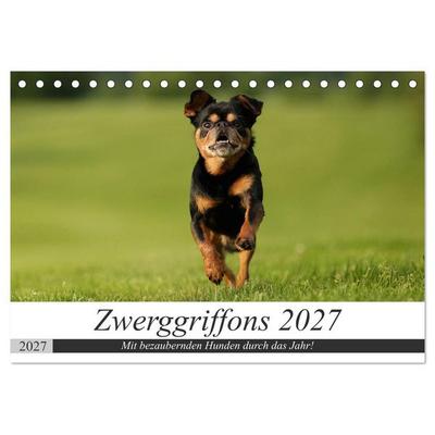 Zwerggriffons 2027 (Tischkalender 2027 DIN A5 quer), CALVENDO Monatskalender