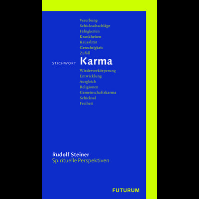 Stichwort Karma, Taschenbuch von Rudolf Steiner, Rudolf Steiner, 978-3-7274-4908-6