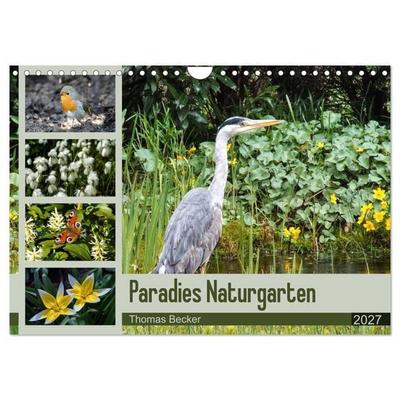 Paradies Naturgarten (Wandkalender 2027 DIN A4 quer), CALVENDO Monatskalender