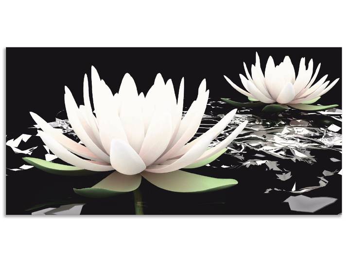 Wandbild ARTLAND Zwei Lotusblumen auf dem Wasser , schwarz (farbe bild(er): schwarz), B:40cm H:20cm, Bilder, Wandbild, als Alubild, Leinwandbild in verschied. Grössen