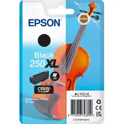 Epson Tinte C13T16P14010 250XL schwarz