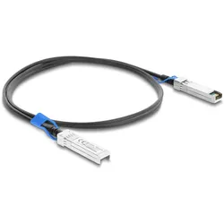 Delock Twinax Kabel SFP28 Stecker zu SFP28 Stecker 25 Gbps 2 m (84084) (2 m), Netzwerkkabel