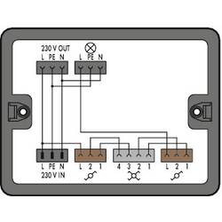 WAGO 899-631/305-000 Verteiler-Box 899 25 A Schwarz 1 St.