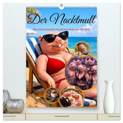 Der Nacktmull (hochwertiger Premium Wandkalender 2027 DIN A2 hoch), Kunstdruck in Hochglanz