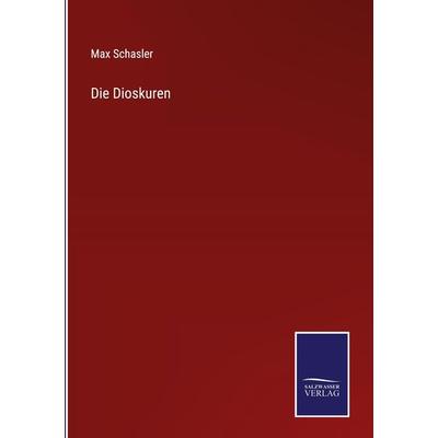 Die Dioskuren, Gebundene Ausgabe von Max Schasler, Outlook, 978-3-375-07819-5