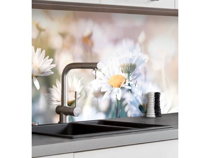 MyMaxxi Küchenrückwand selbstklebend - Matte, versteifte Spritzschutz Folie als günstige Alternative zu Glas, einfache Montage & leichte Reinigung - 60 cm hoch - Motiv: Blumen Margeriten 400 x 60 cm