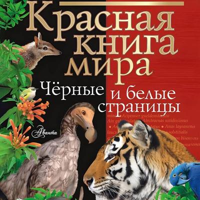 Krasnaya kniga mira. Chernye i belye stranitsy - Pavel Smirnov,Mikhail Molyukov, Audio, 9785171804541