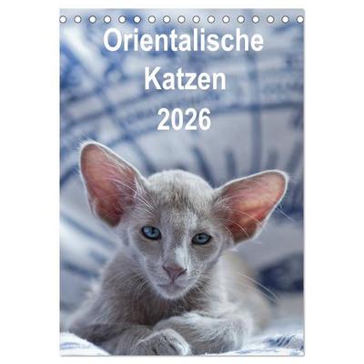 Orientalische Katzen 2026 (Tischkalender 2026 DIN A5 hoch), CALVENDO Monatskalender