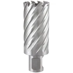 Ruko, Lochsäge, Kernbohrer Nenn-Ø 20 mm HSS Schnitttiefe 55 mm Weldon (20 mm)