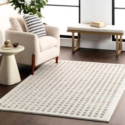 Nuloom Daleyza Checkered Machine Washable Area Rug