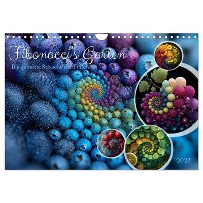 Fibonacci’s Garten (Wandkalender 2027 DIN A4 quer), CALVENDO Monatskalender