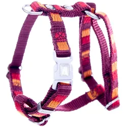 Image Dream (L, Hund, Spazieren), Halsband + Leine