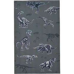 Teppich T-REX WORLD (80 x 150 cm) - 80 x 150 cm