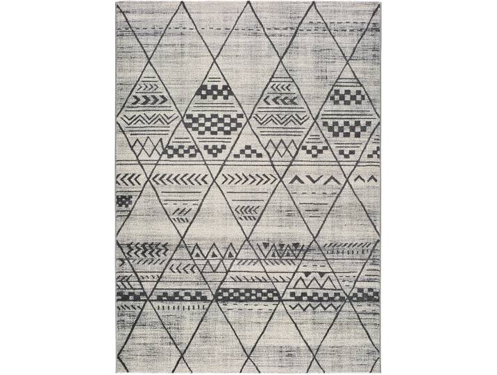 Teppich Adra grau Symmetrie Polypropylen 160 x 230 cm
