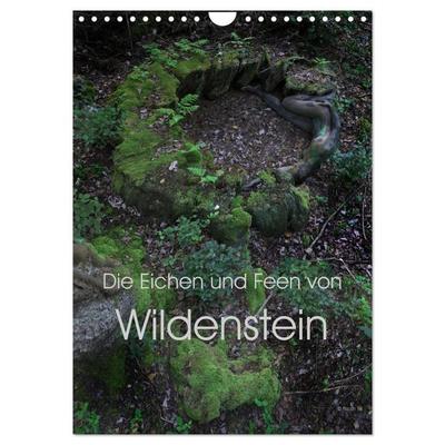 Die Eichen und Feen von Wildenstein (Wandkalender 2026 DIN A4 hoch), CALVENDO Monatskalender