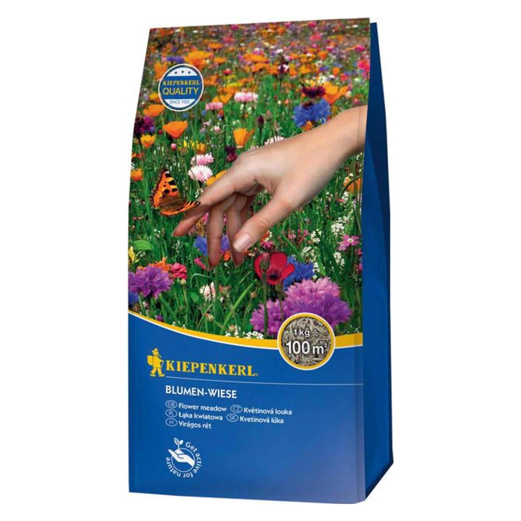 Kiepenkerl Kiep. Blumen-Wiese (Blumensamen) (651753)