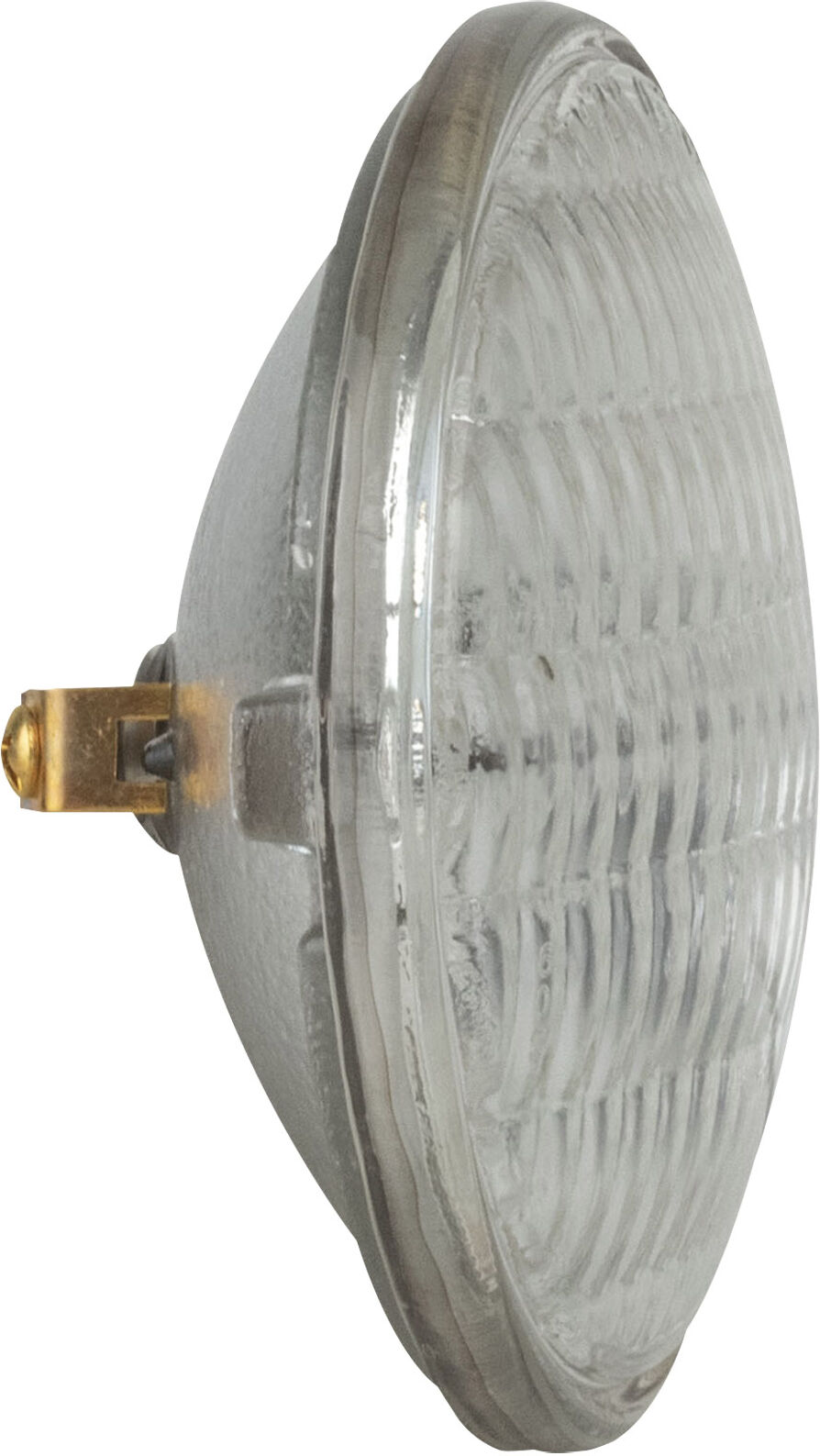 Showgear Par 36 M-P Schraubklemme Dwe 120 V 650 W