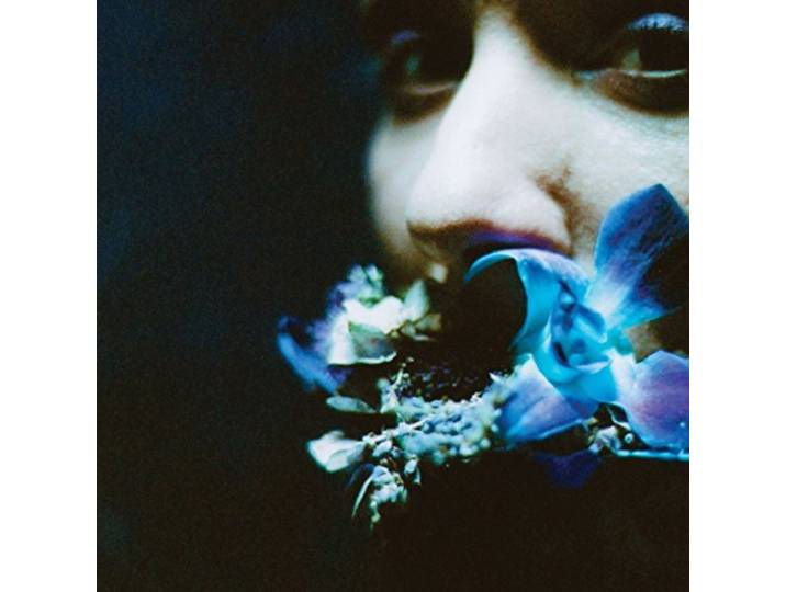 Reaching for Indigo