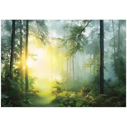 FOTOTAPETE 3D Effekt Wald Sonne Wohnzimmer 150x105