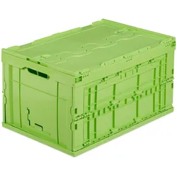 Relaxdays, Aufbewahrungsbox, Transportbox (75 l, 1x, 39.50 x 58.50 x 32.50 cm)