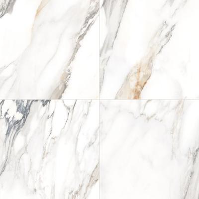 The Tile Life Windsor 12x12 Matte Porcelain Floor and Wall Tile