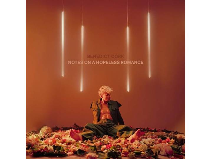 Notes On A Hopeless Romance