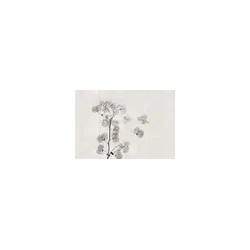 Ziro HydroDesign Wall Orchid Bild 1/4