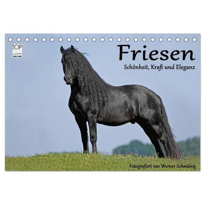 Friesen - Schönheit, Kraft und Eleganz (Tischkalender 2027 DIN A5 quer), CALVENDO Monatskalender