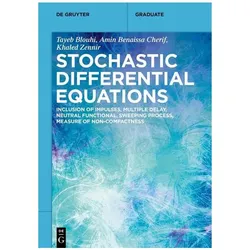 Stochastic Differential Equations, Fachbücher von Khaled Zennir, Amin Benaissa Cherif, Tayeb Blouhi