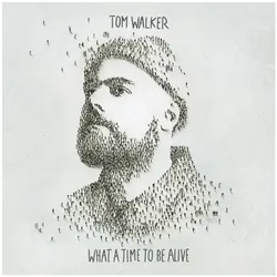 Sony Music, Schallplatten, What a Time To Be Alive (Tom Walker)