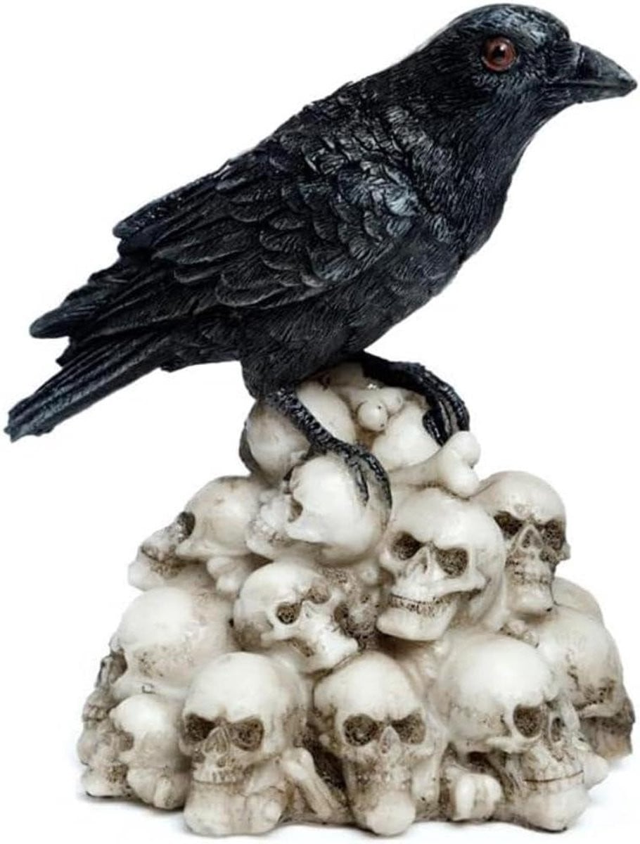 Meerkleurig Raaf Figuur met Schedel Decoratie voor Halloween