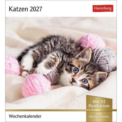 Katzen Postkartenkalender 2027 - Wochenkalender mit 53 Postkarten