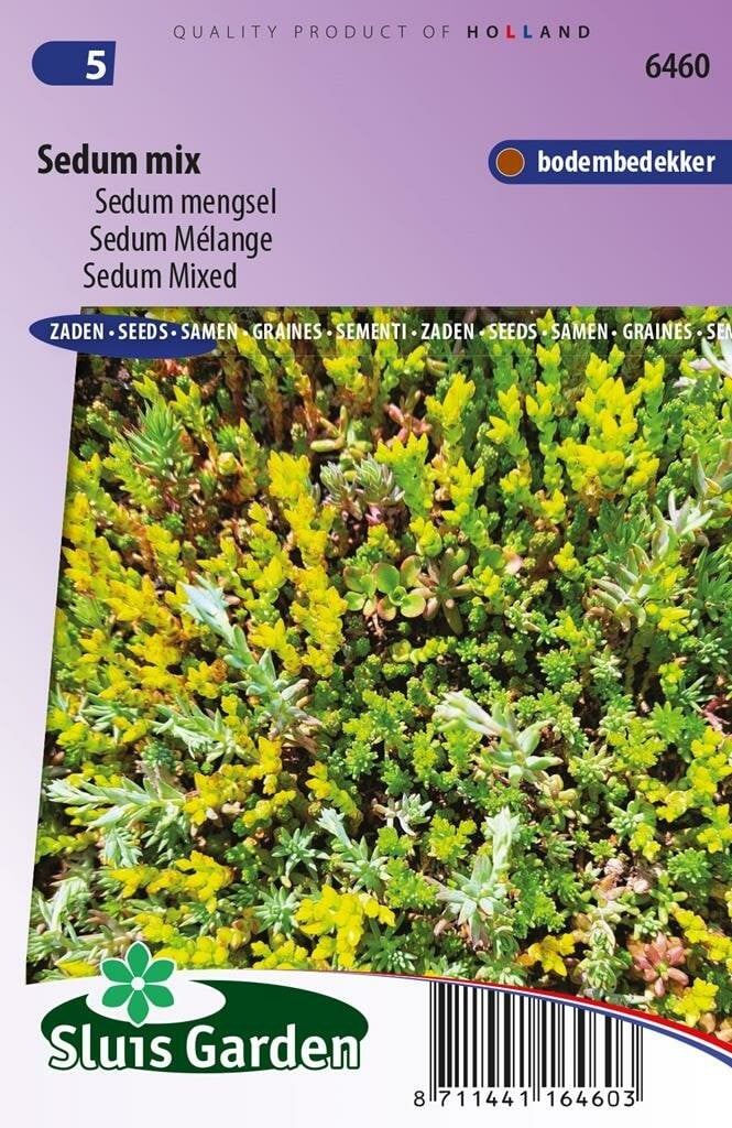 Sluis Garden Sedum zaden Mix
