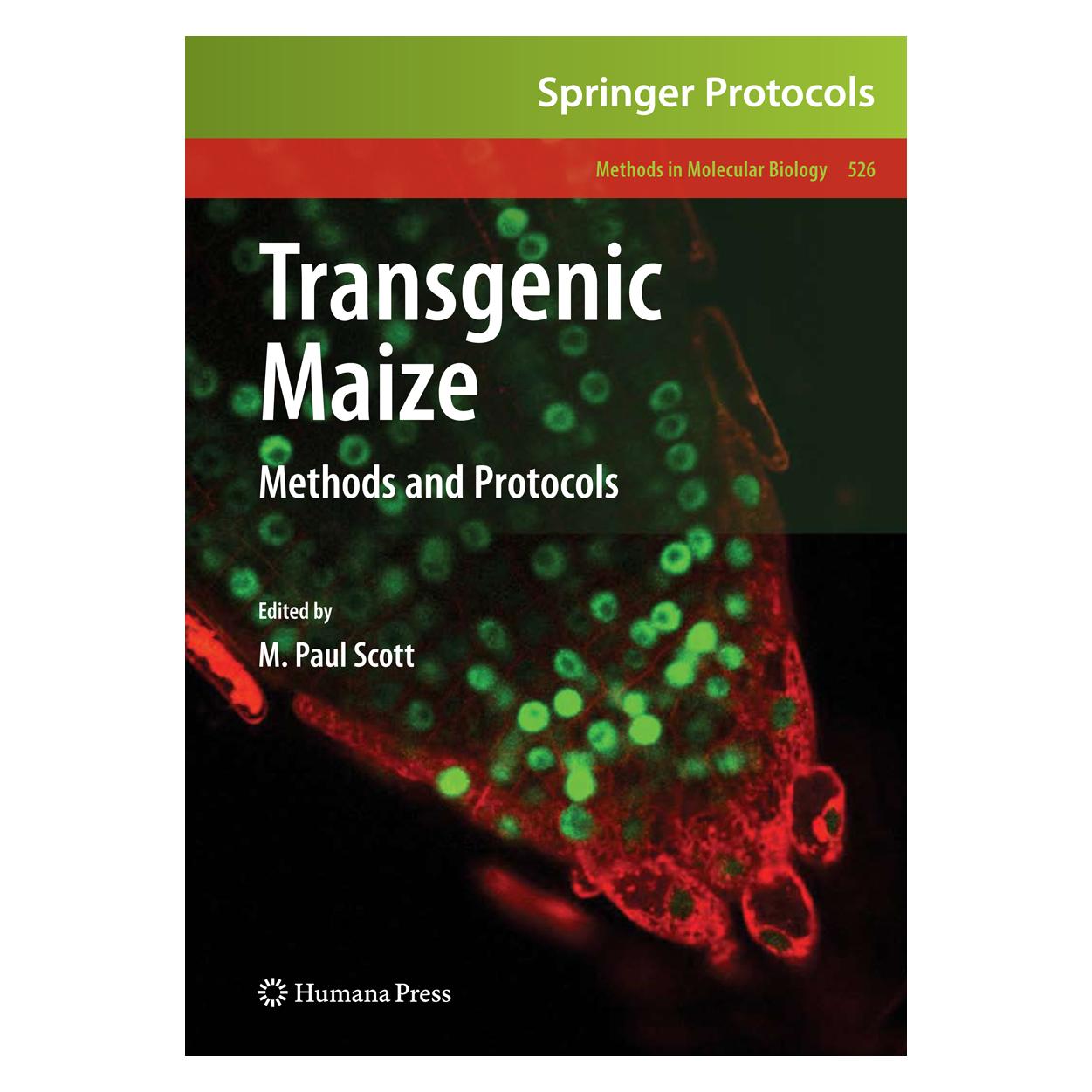 Springer Transgenic Maize (Englisch, Softcover, M. Paul Scott) (55396331)
