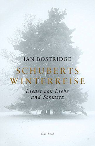 Ian Bostridge - Schuberts Winterreise: Lieder von Liebe und Schmerz - Preis vom 11.10.2026 15:43:13 h