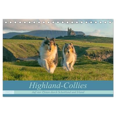 Highland-Collies - Auf vier Pfoten durch Schottland und Irland (Tischkalender 2027 DIN A5 quer), CALVENDO Monatskalender