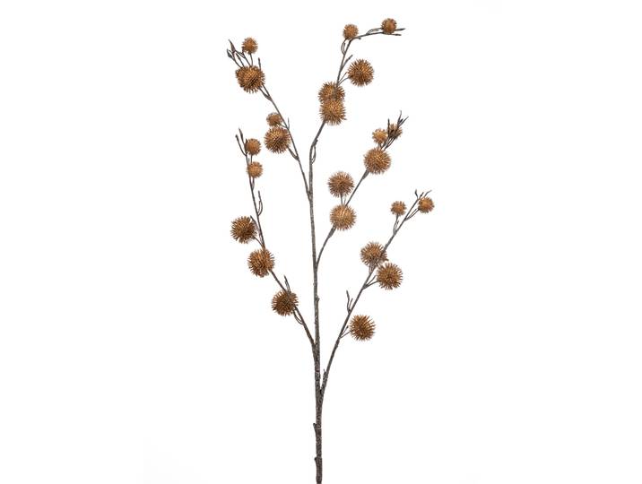 Chestnut