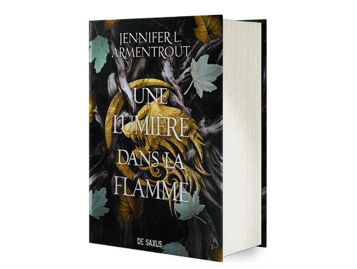 La Chair et le Feu - Tome 02 Une Lumière dans la flamme (relié collector) (Relié)