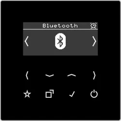 Jung Smart DAB+ Digitalradio DAB LS BT SW