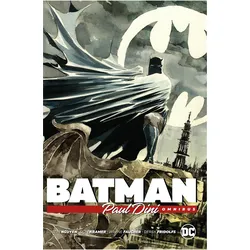 Batman by Paul Dini Omnibus, Comics + Manga von Paul Dini