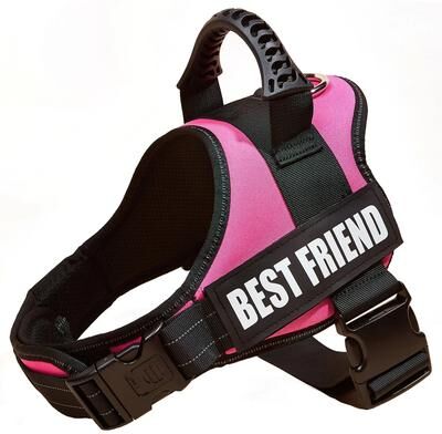 Uplift Picks ComfortFit Adjustable Nylon Dog Harness With Custom Name ID 11 xl