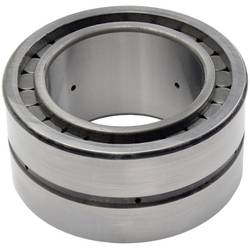 INA SL181848-BR-E Zylinderrollenlager Bohrungs-Ø 240 mm Außen-Durchmesser 300 Drehzahl (max.) 1160 U/min