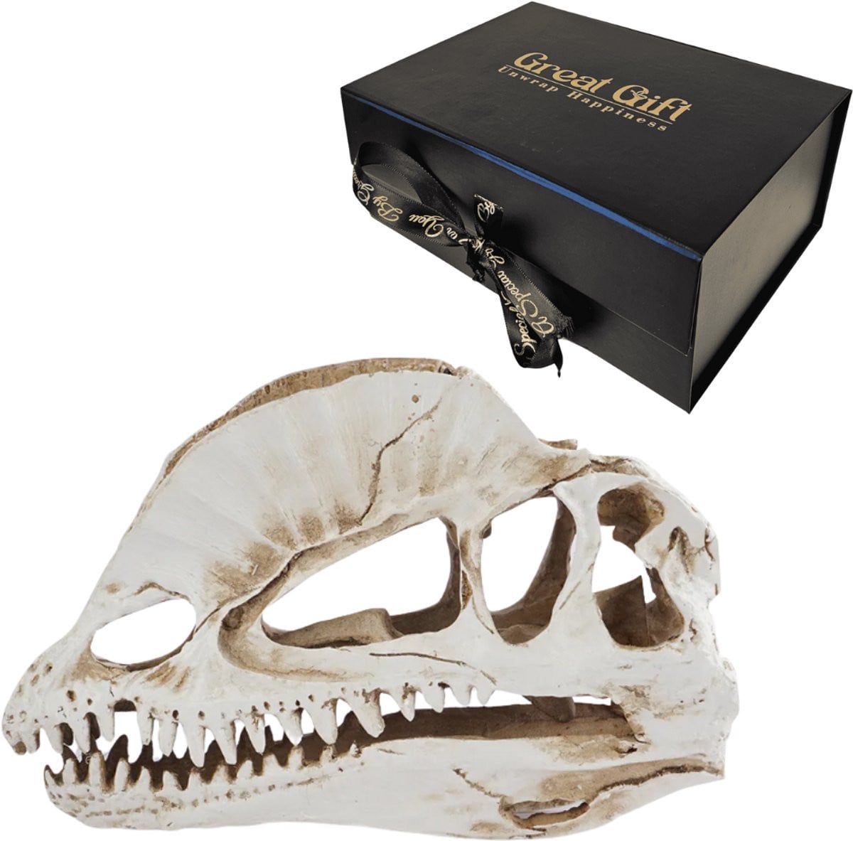 GreatGift Dilophosaurus Schedel Replica van Polyresin Hars - 18 cm