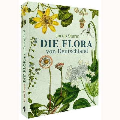 Die Flora von Deutschland von Jacob Sturm (Jubiläumsausgabe), Gebundene Ausgabe von Jacob Sturm, Favoritenpresse GmbH, 978-3-96849-201-8