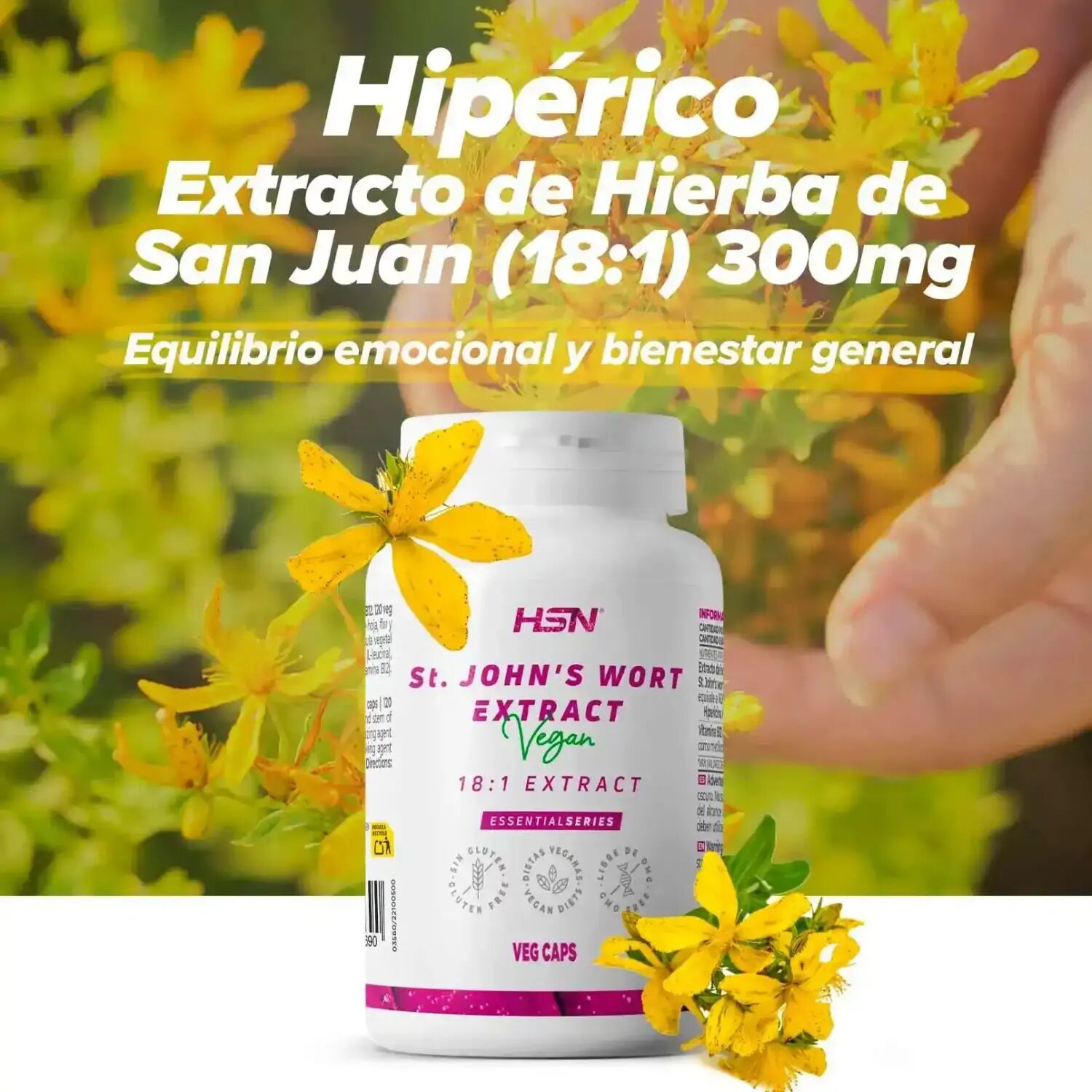 HSN Hipérico (extracto de hierba de san juan 18:1) 300mg - 120 veg caps - Equilibrio Emocional - Cápsulas Vegetales - 120  Servicios