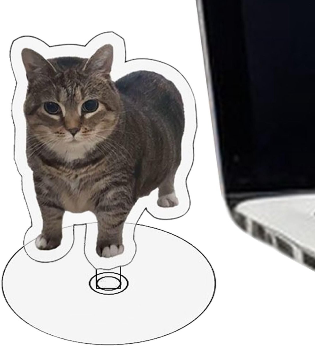 Roterende acryl kat decoratie - Grappige 2D spin kat voor slaapkamer, woonkamer en kantoor
