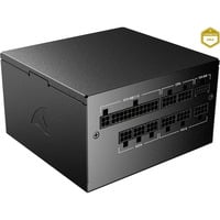 Rebel P20 Gen2 750, PC-Netzteil schwarz, 1x 12 Pin High Power Anschluss, 3x PCIe, Kabelmanagement, 750 Watt
