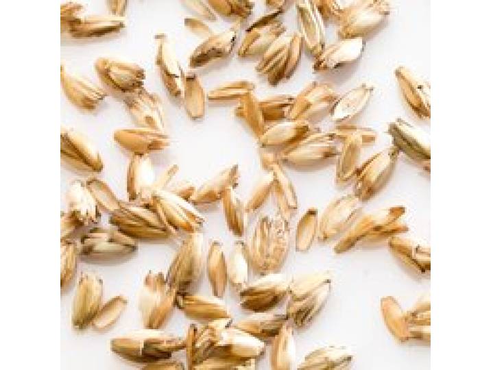 Oreiller ferme d'épeautre biologique