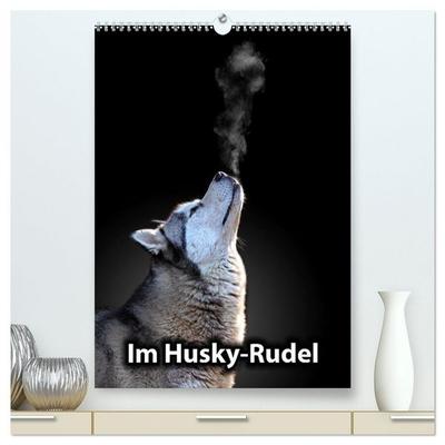 Im Husky-Rudel (hochwertiger Premium Wandkalender 2026 DIN A2 hoch), Kunstdruck in Hochglanz