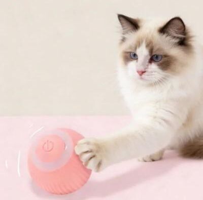 Inspired Living SmartMotion Automatic Cat Ball Toy pink